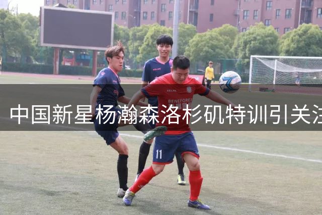中国新星杨瀚森洛杉矶特训引关注 与小乔丹等球星同场竞技