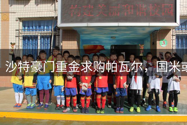 沙特豪门重金求购帕瓦尔，国米或忍痛割爱？