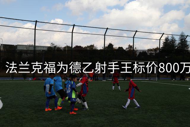 法兰克福为德乙射手王标价800万欧 多支球队密切关注