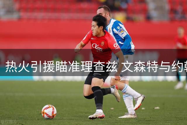 热火引援瞄准理查兹 文森特与约翰逊或重返迈阿密